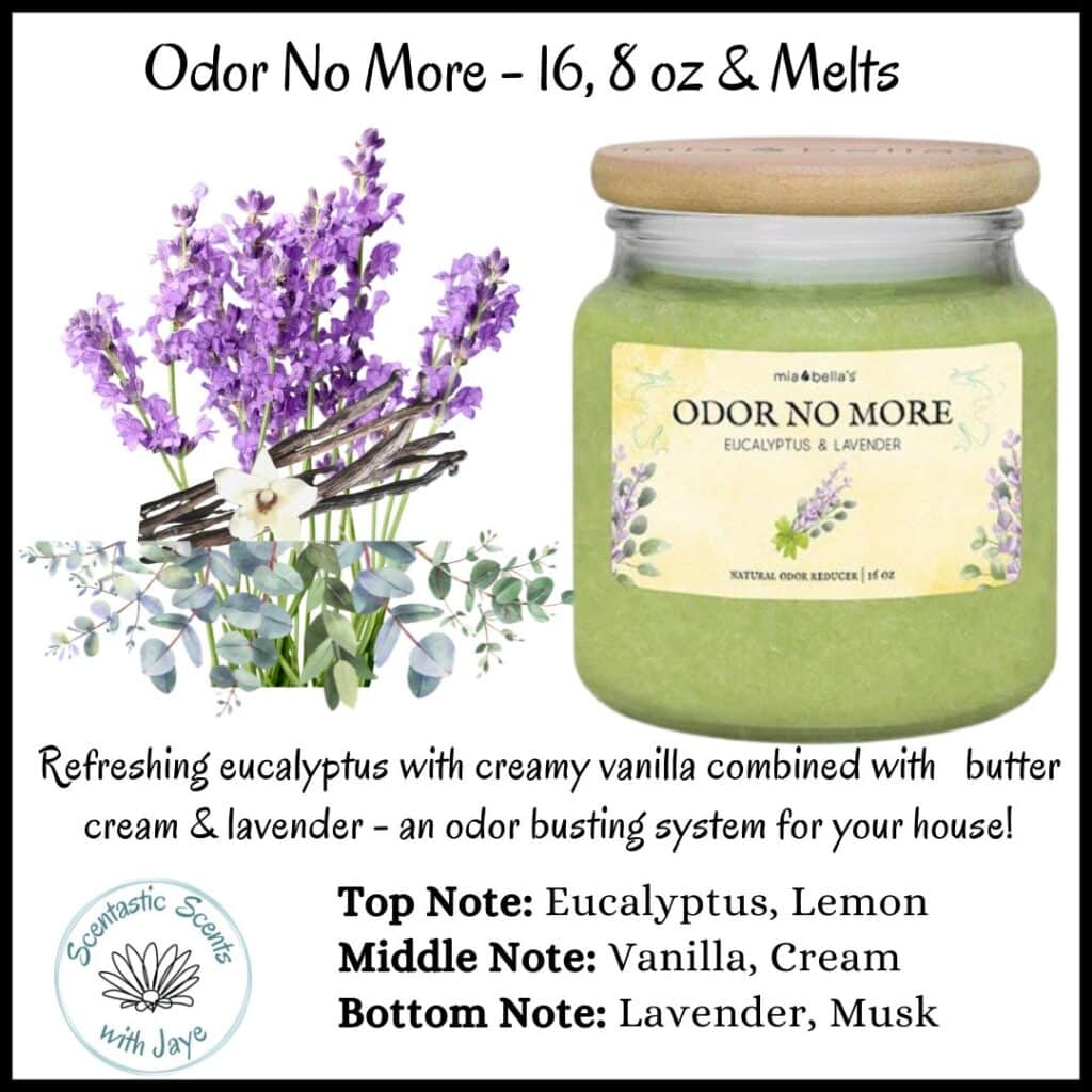Mia Bella's Candles - Odor No More - Scentastic Scents with Jaye